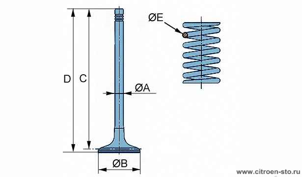 Характеристики : Клапаны и пружины клапанов 1. Клапаны